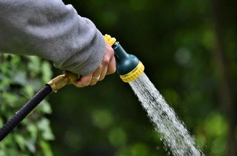 Top Gardening Tools